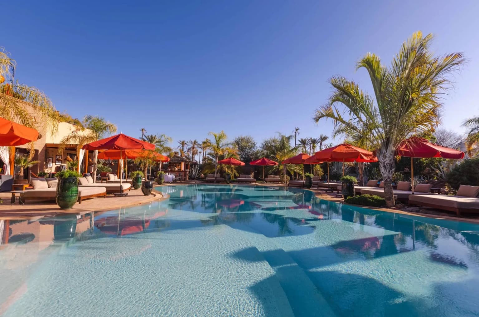 Piscine Eden Lodges Marrakech entourée de verdure et palmiers