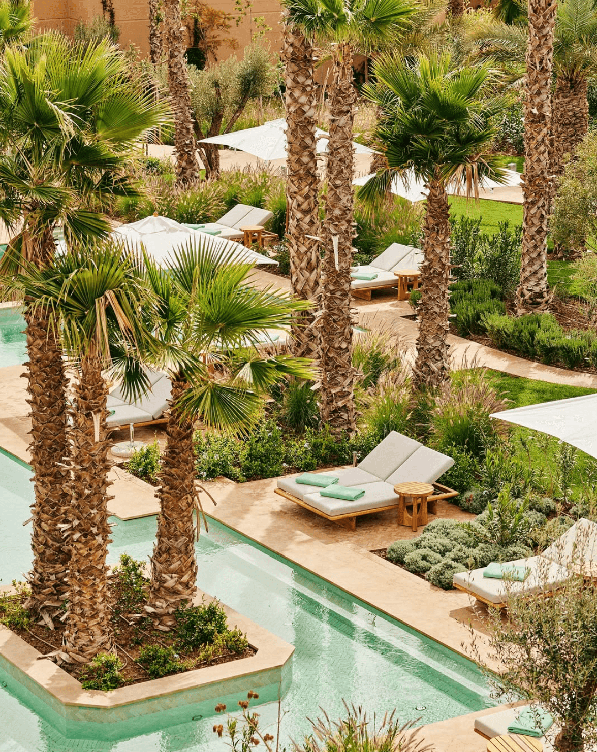 Piscine Eden Lodges Marrakech avec transat design sous les palmiers