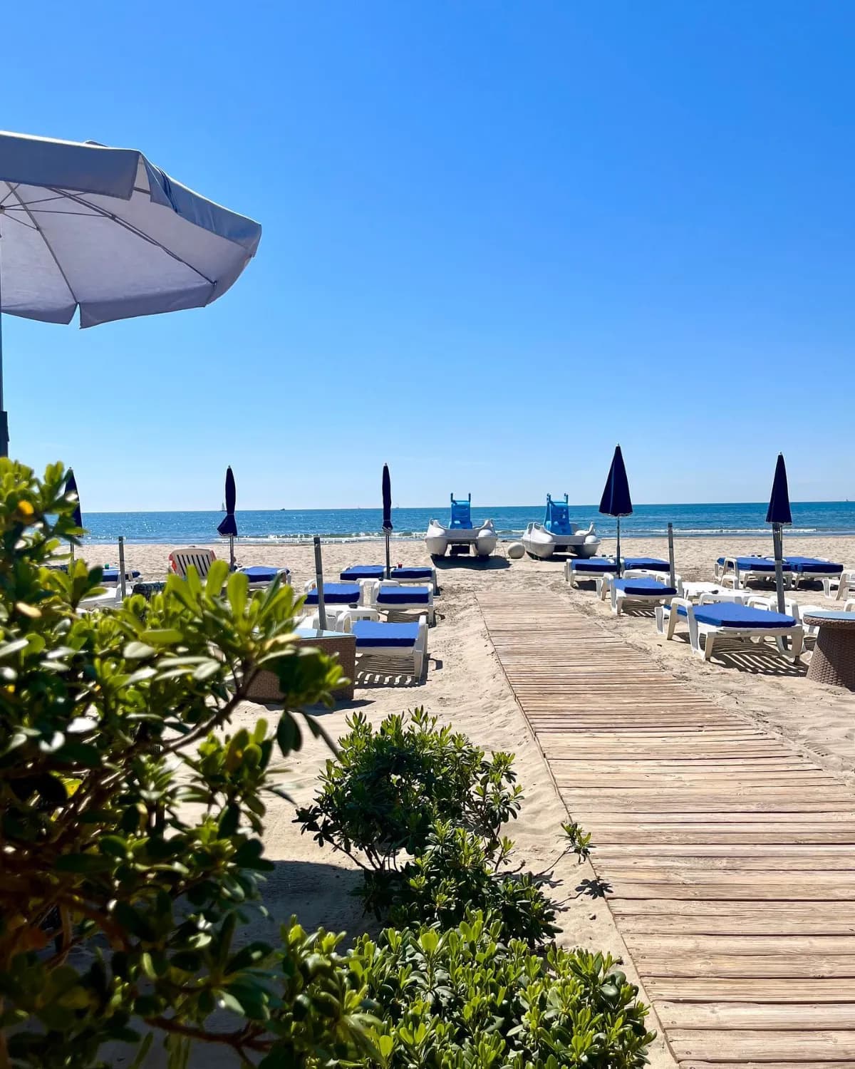 La Rose des Vents - Photo 4