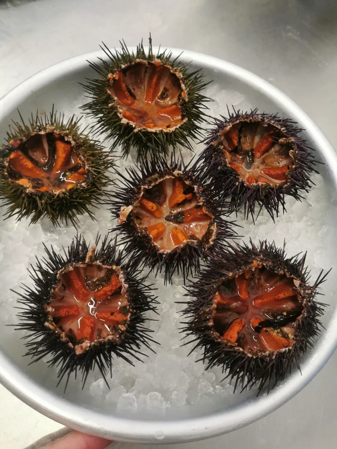 Pêché Iodé - Photo 3