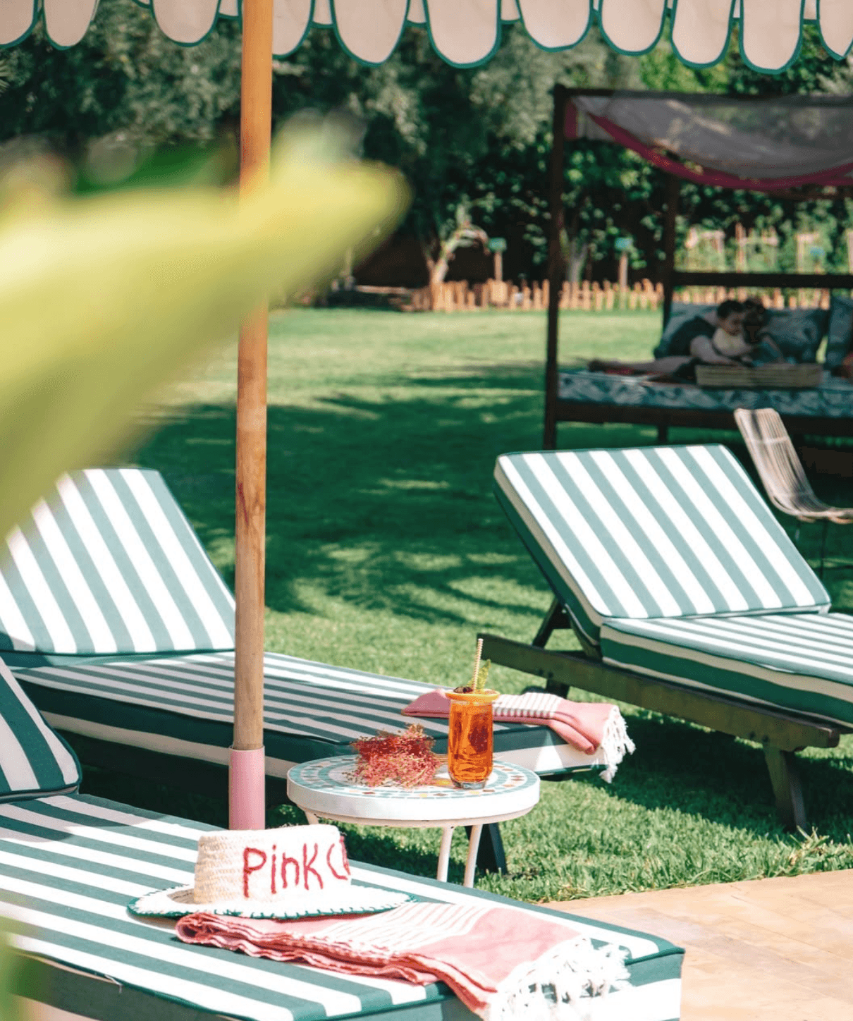 Pink Cactus - Photo 2