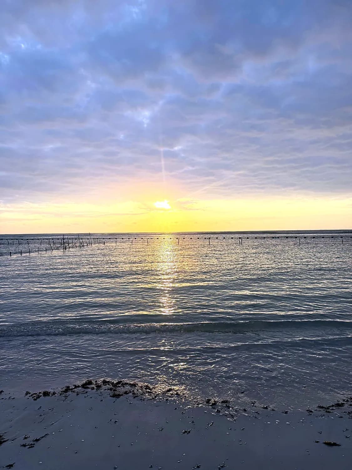 Mariachi Loco Beach Club - Photo 5