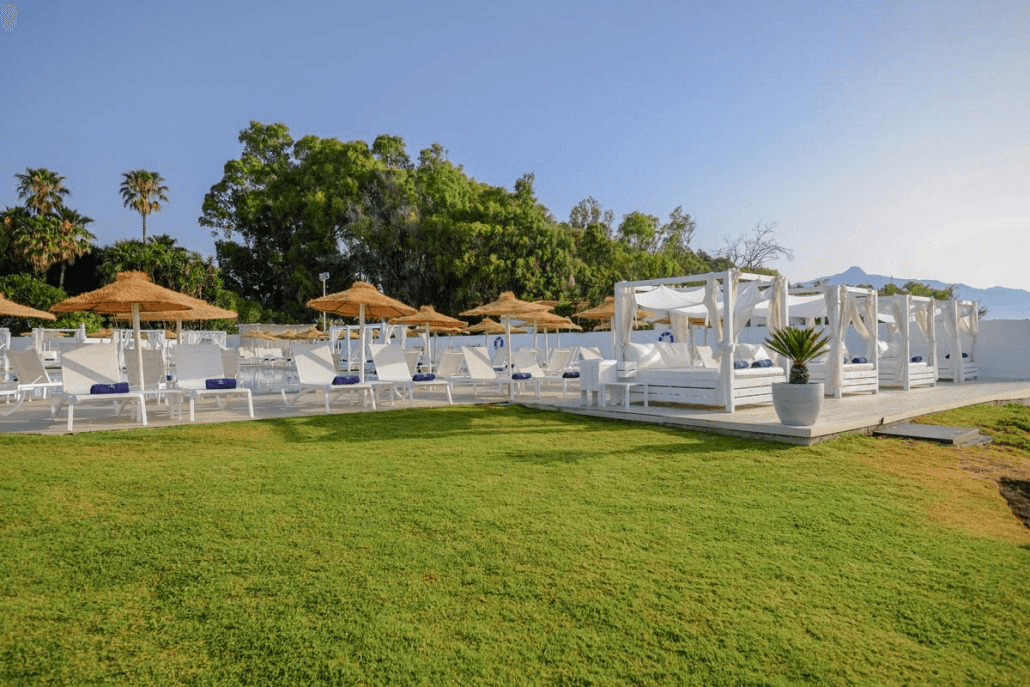 El Ancla Restaurante & Beach Club - Photo 5