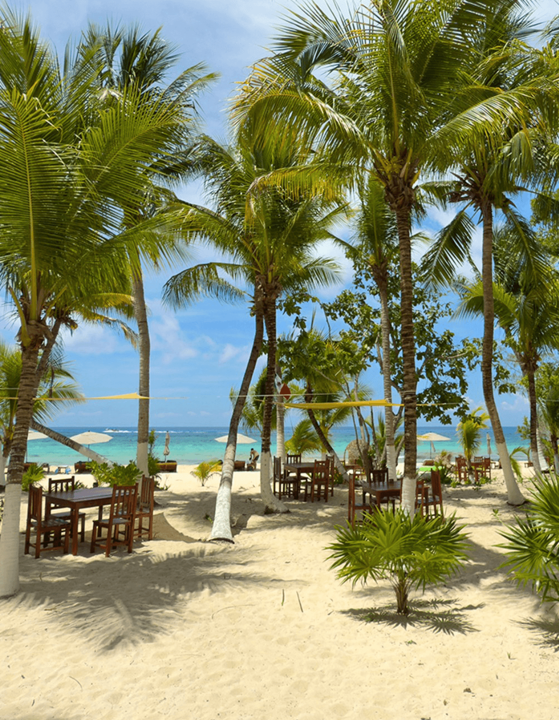 Palancar Beach Club - Photo 5