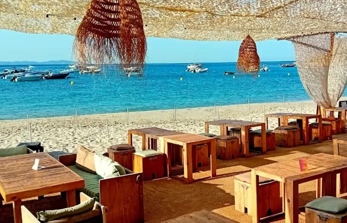 Palm Beach - Le Sari - Photo 5