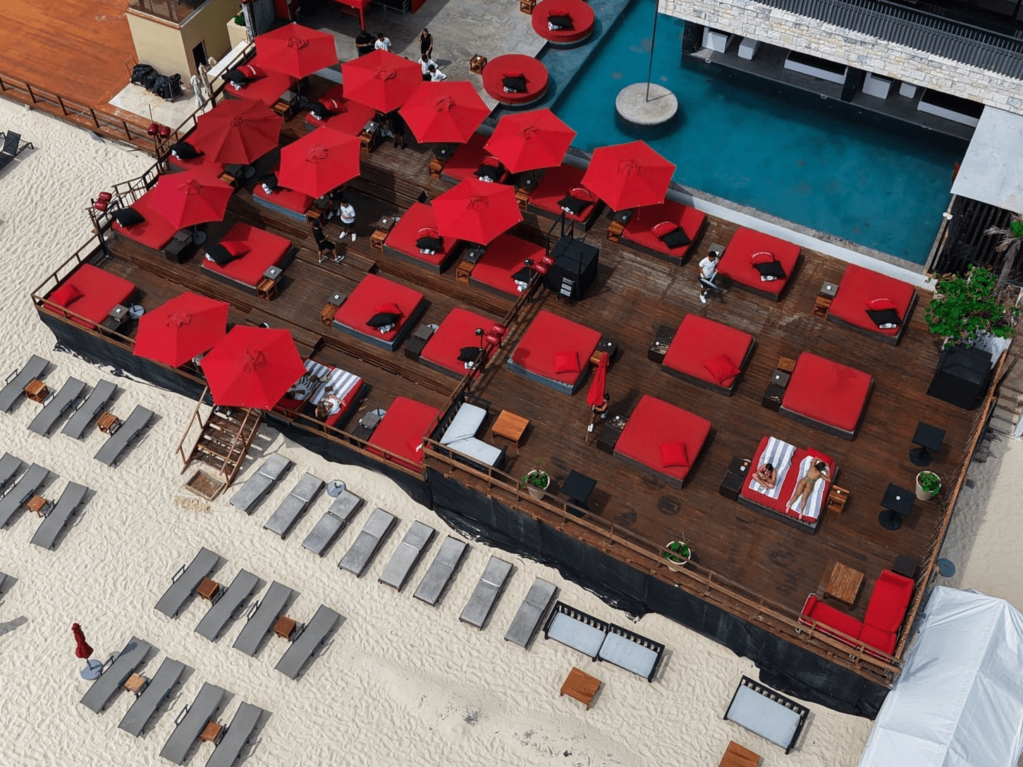 Coralina Daylight Club - 1