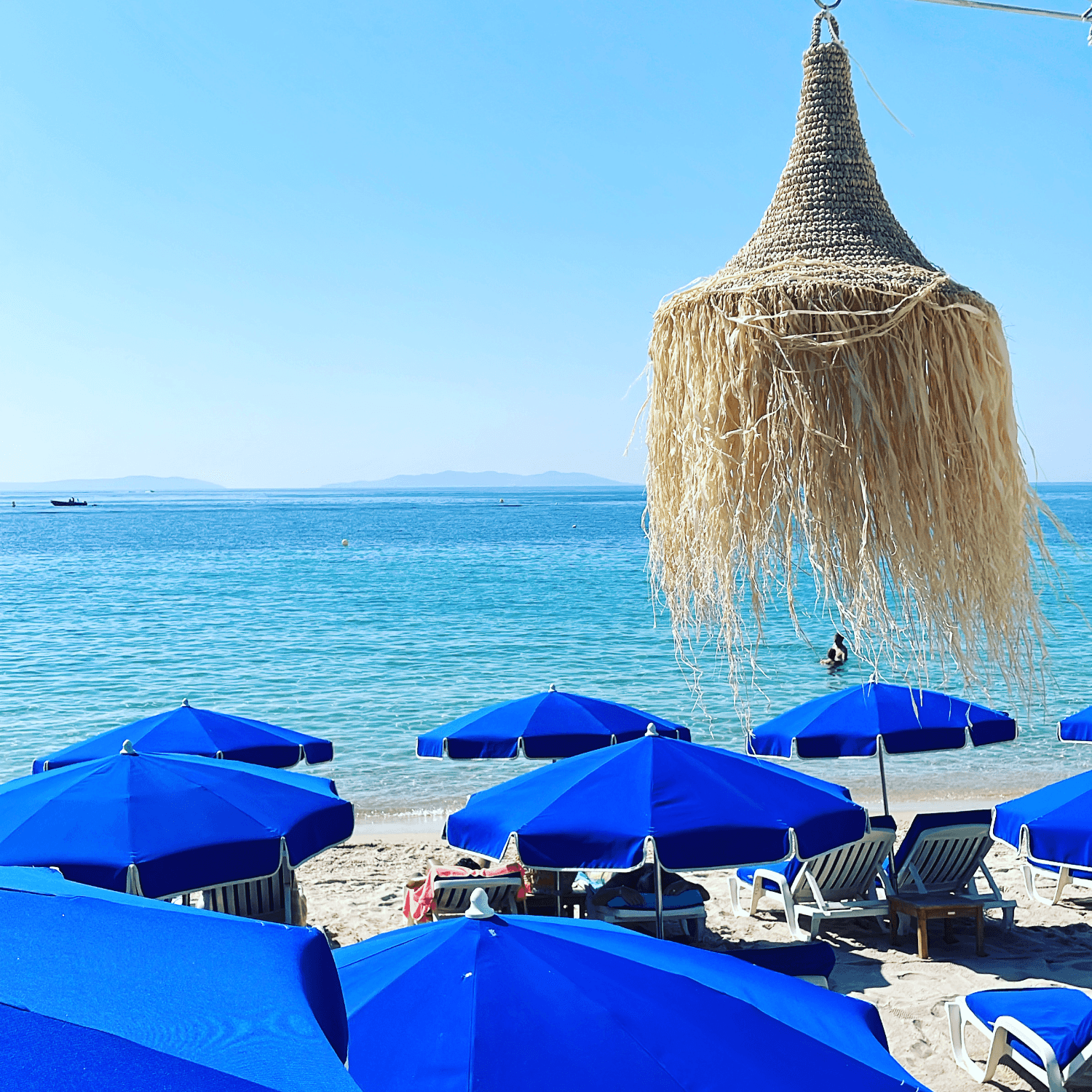 Les Canetons - Photo 4