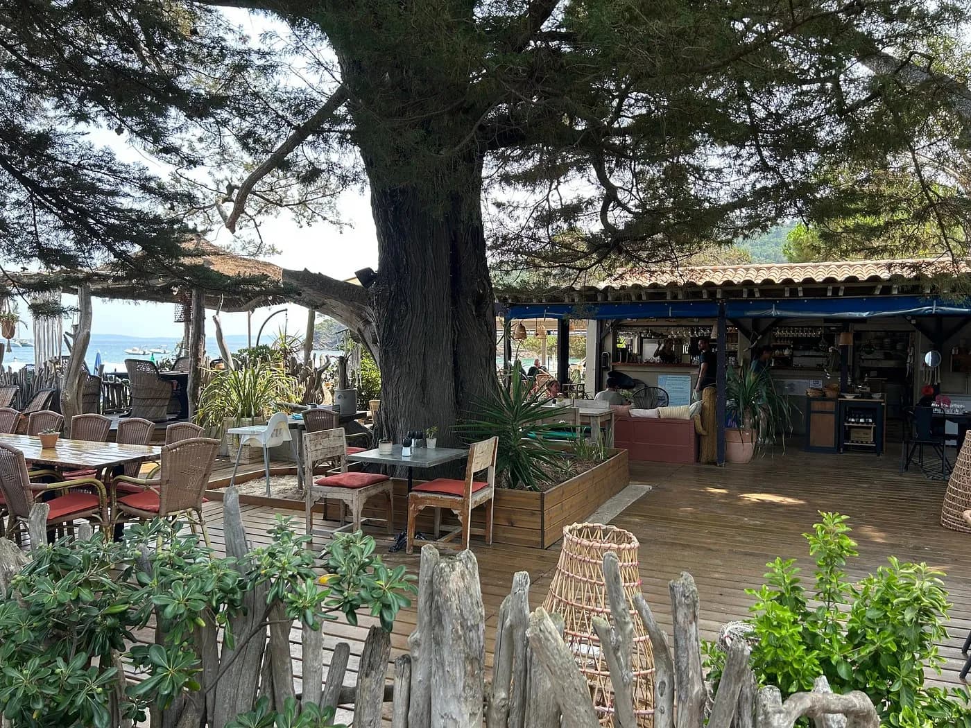 Photo Le Café de la Plage Lavandou