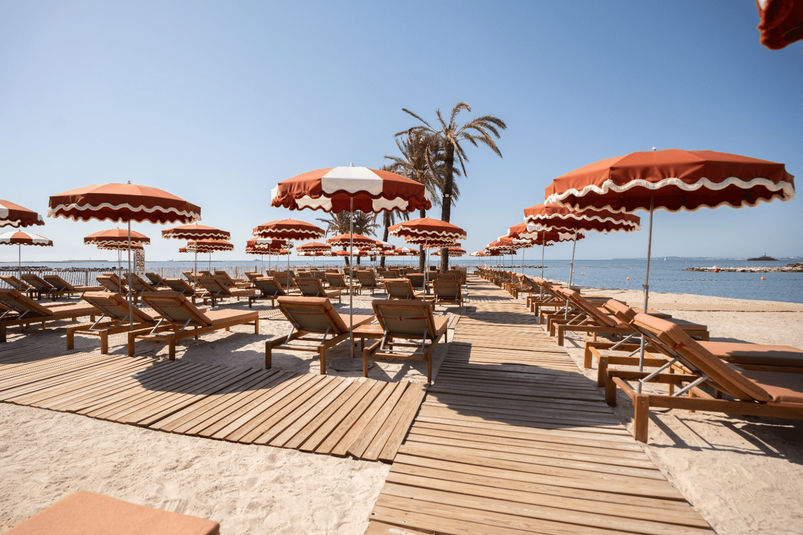 Playamesa - Photo 2