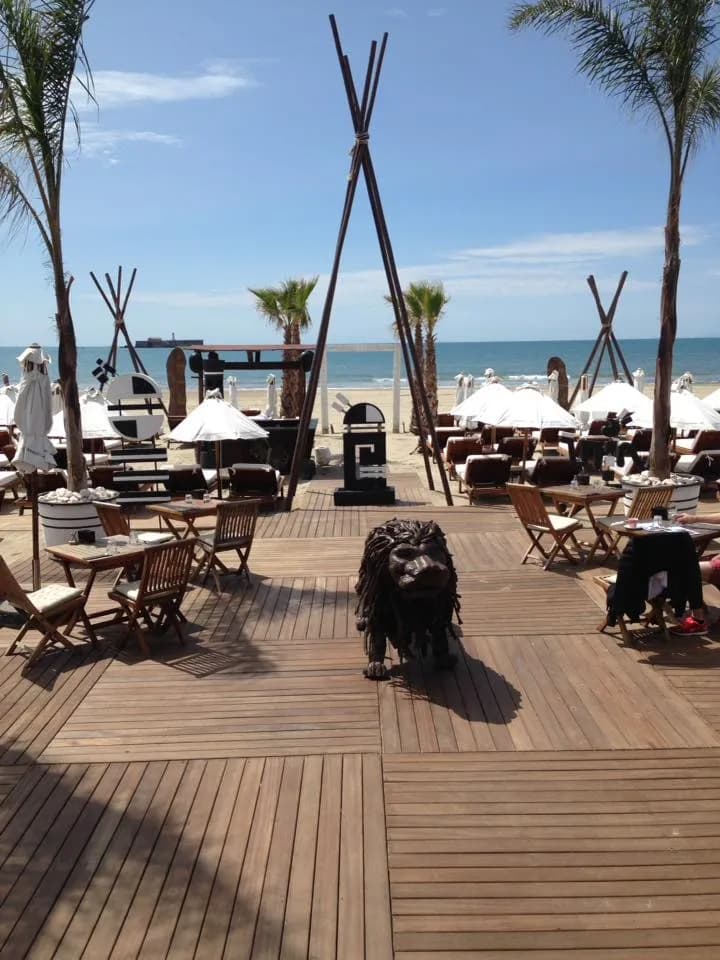 Photo Jungle Beach