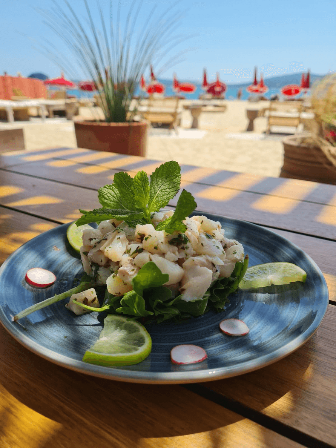 Tangerine Plage - Photo 4