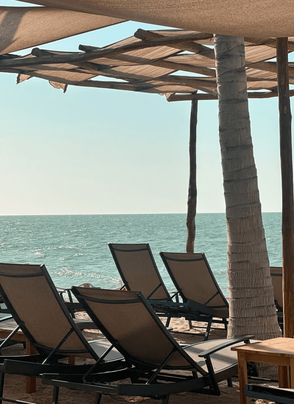 Coccoloba Beach Club - Photo 2