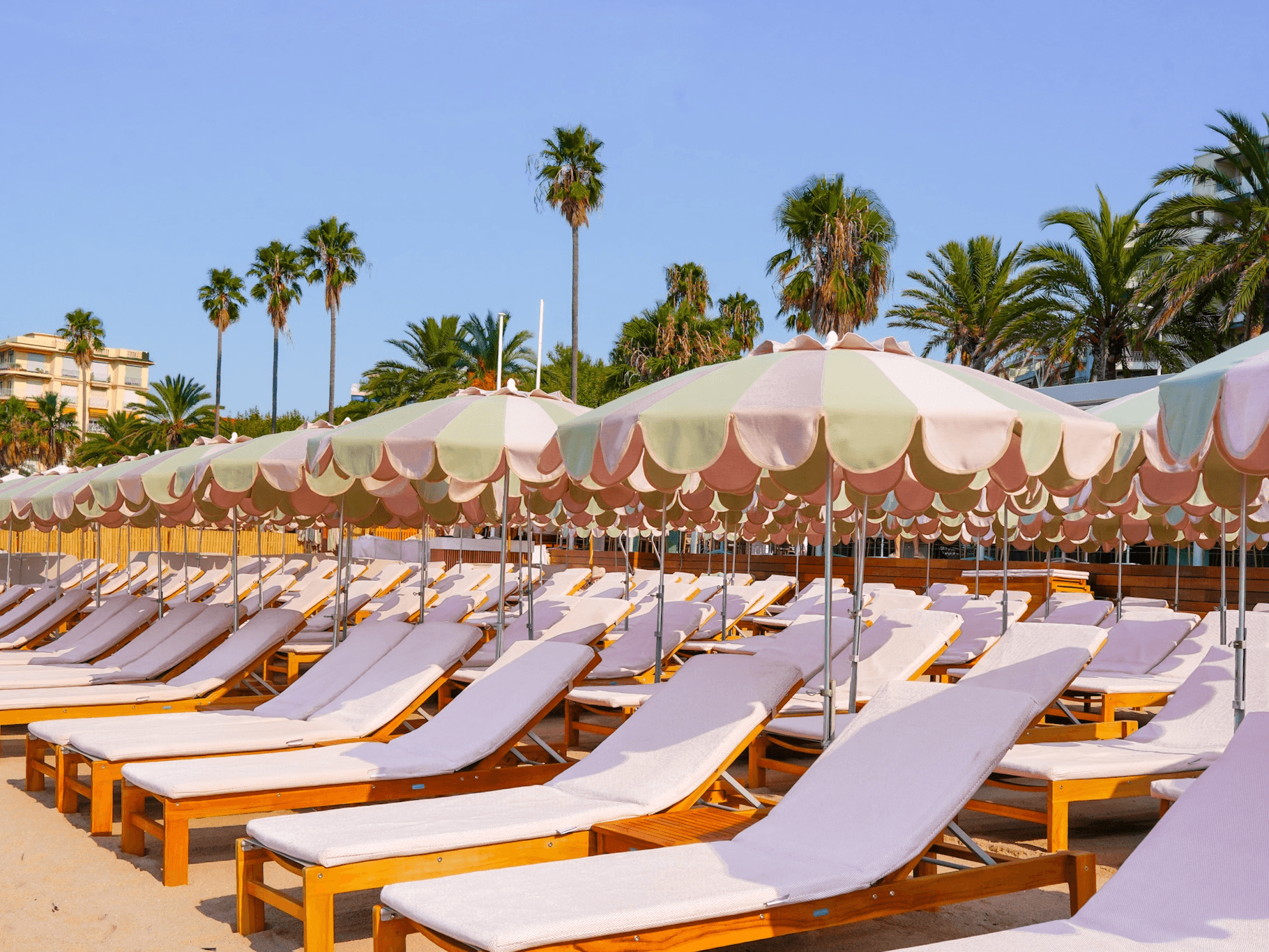 La Petite Cannoise - 1