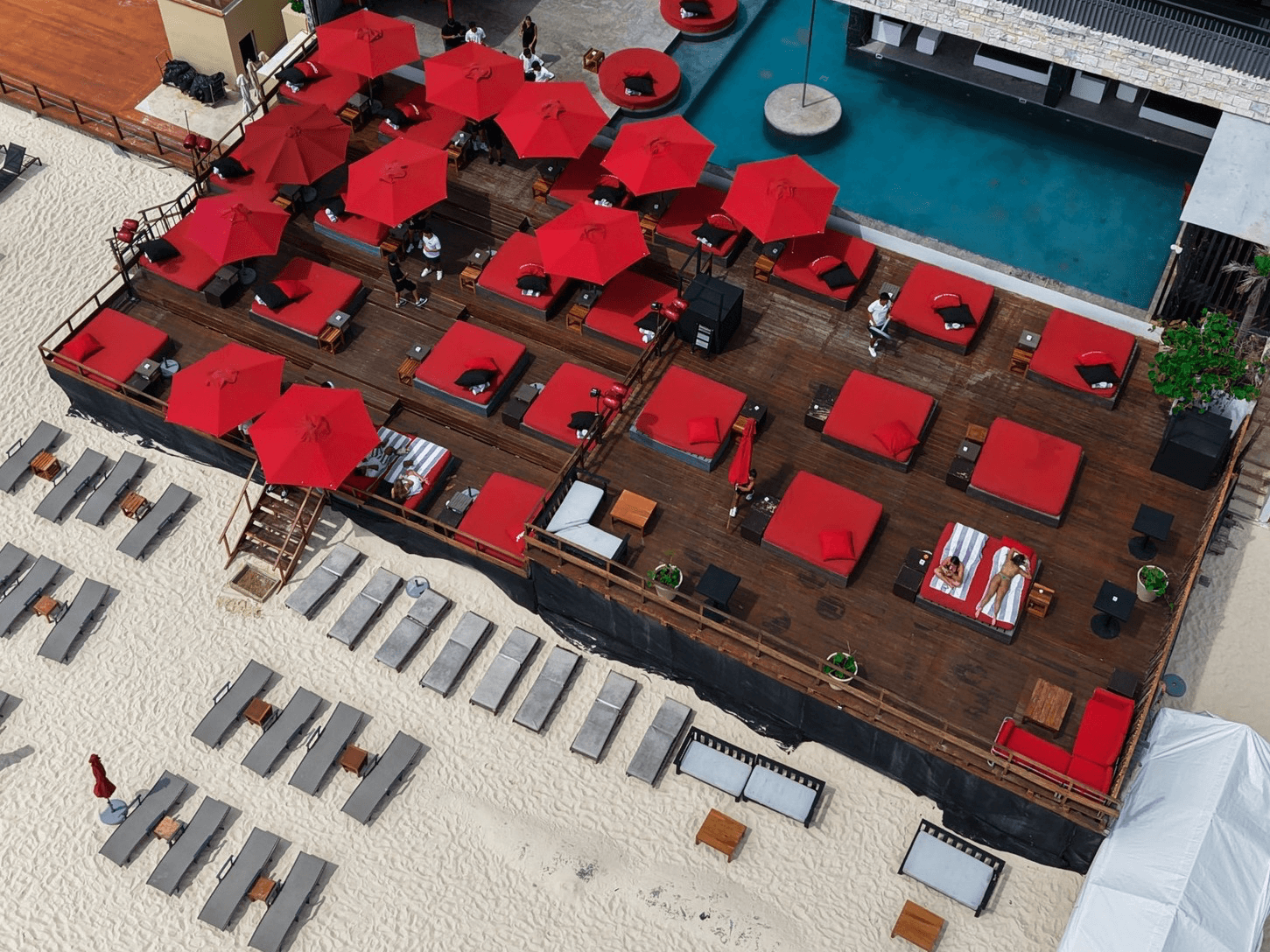 Coralina Daylight Club