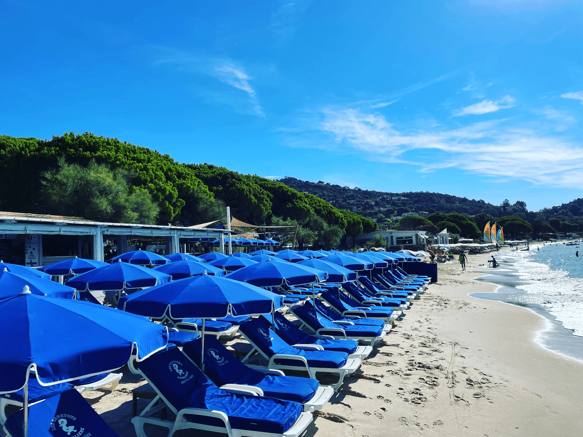 Les Canetons - Photo 3