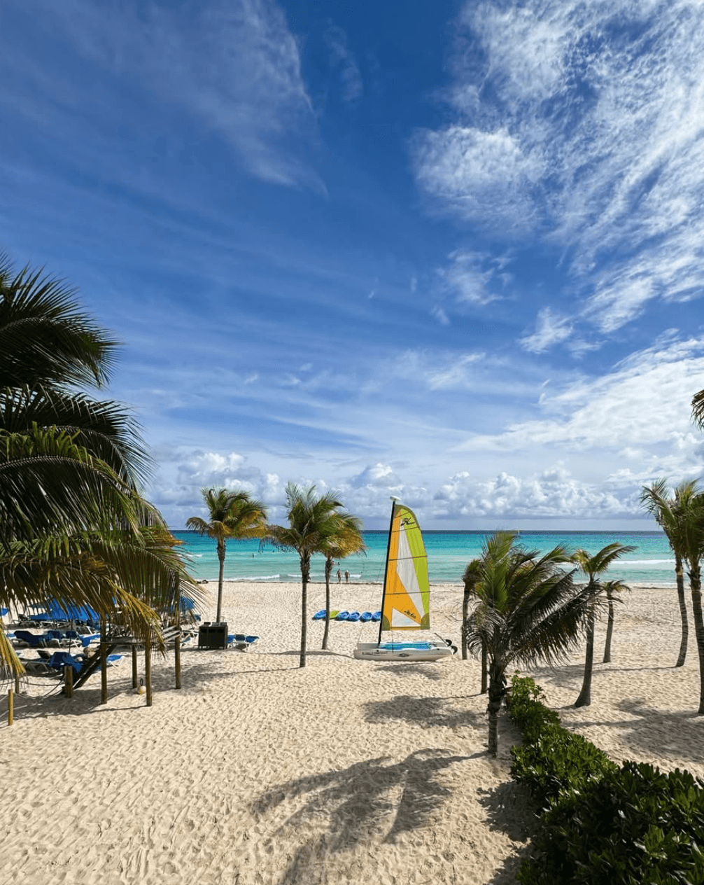 The Reef Playacar Beach Resort & SPA - Photo 5