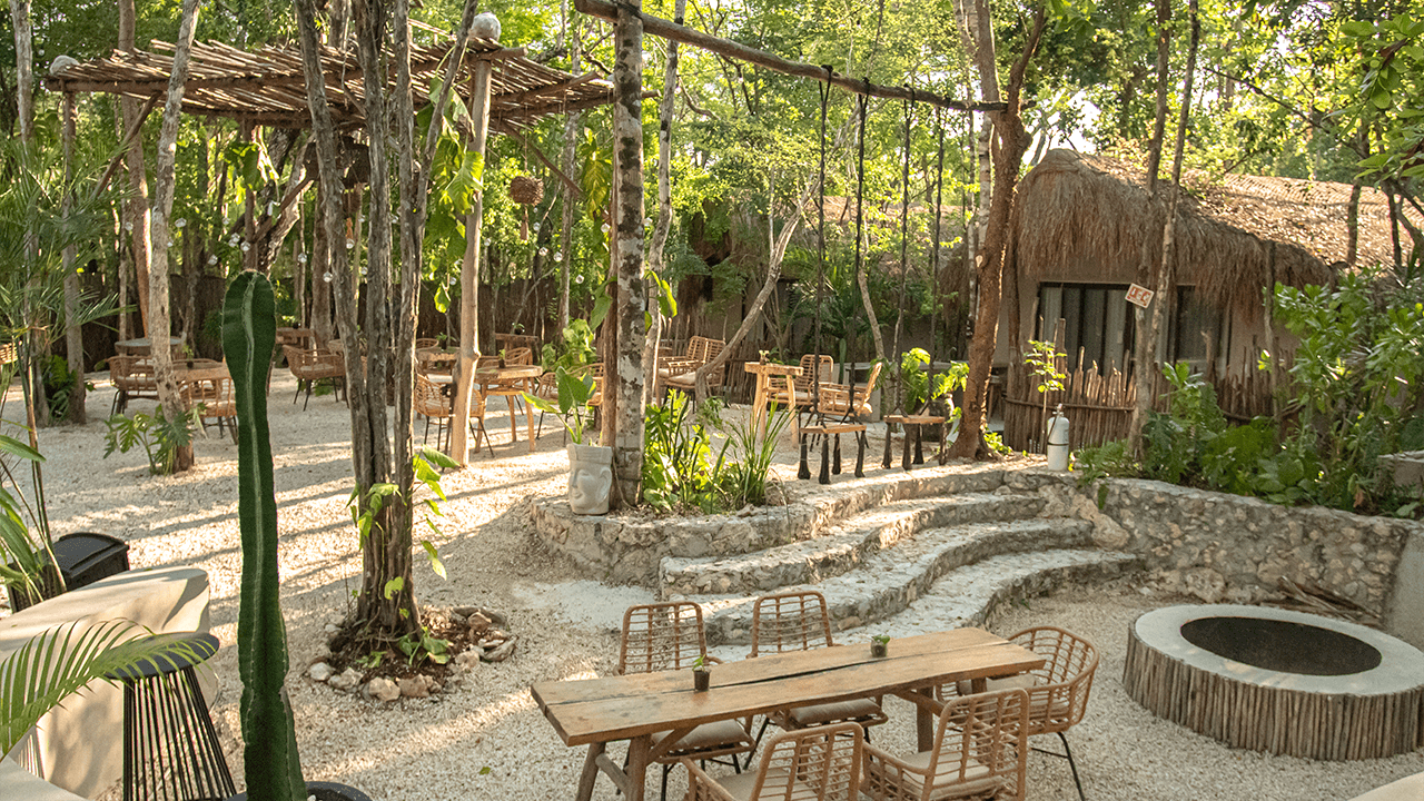 The Yellow Nest - Photo 5
