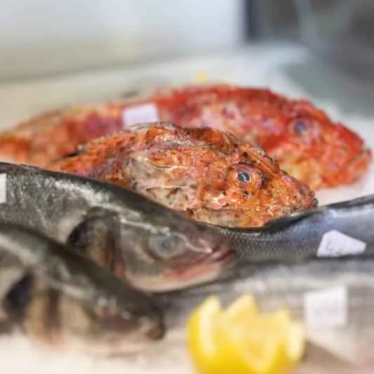 Restaurant Le Palmbeach Palombaggia