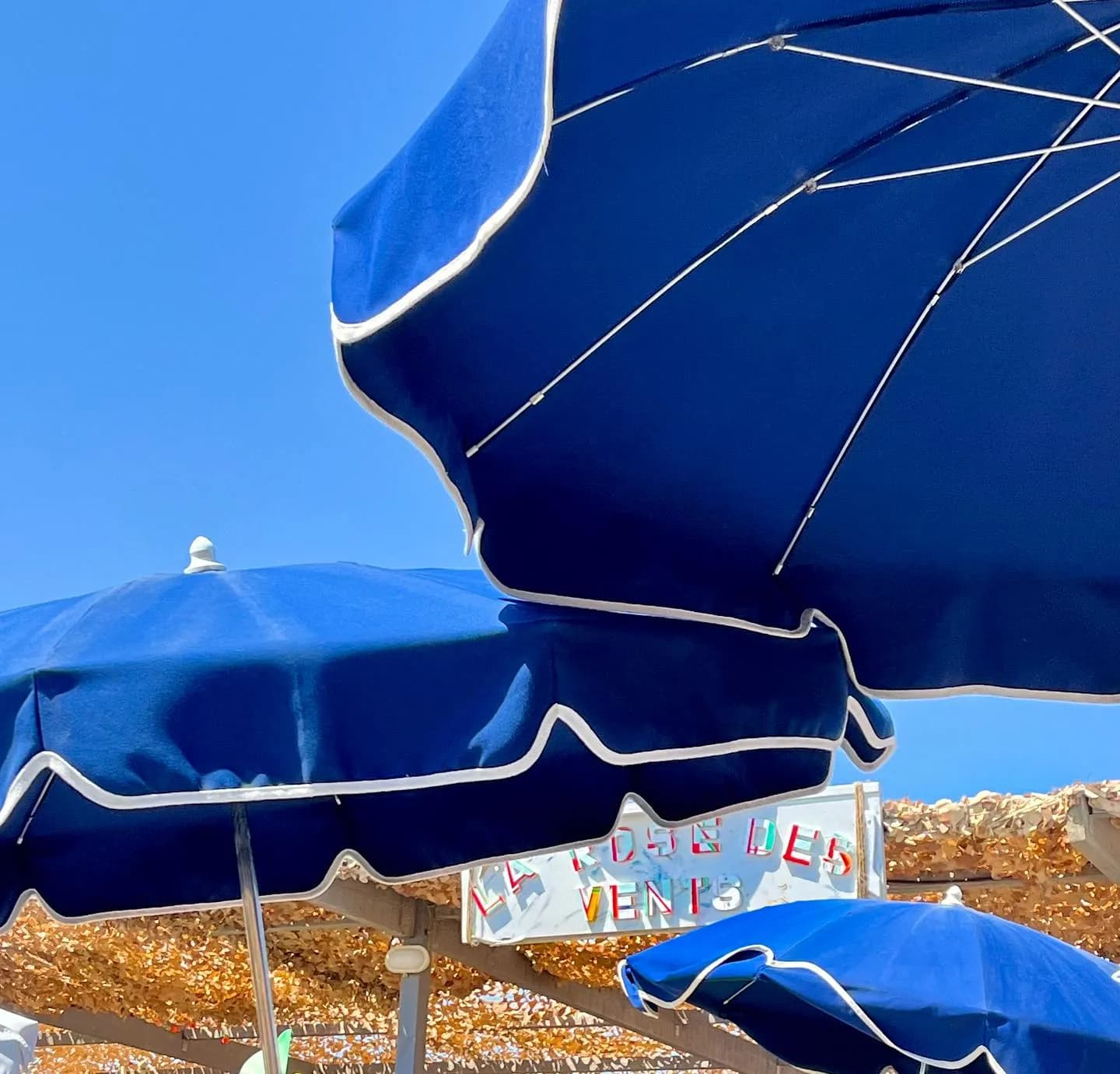 La Rose des Vents - Photo 3