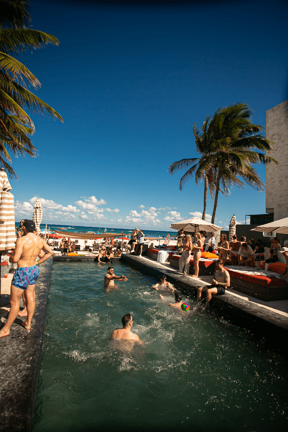 Coralina Daylight Club - Photo 4