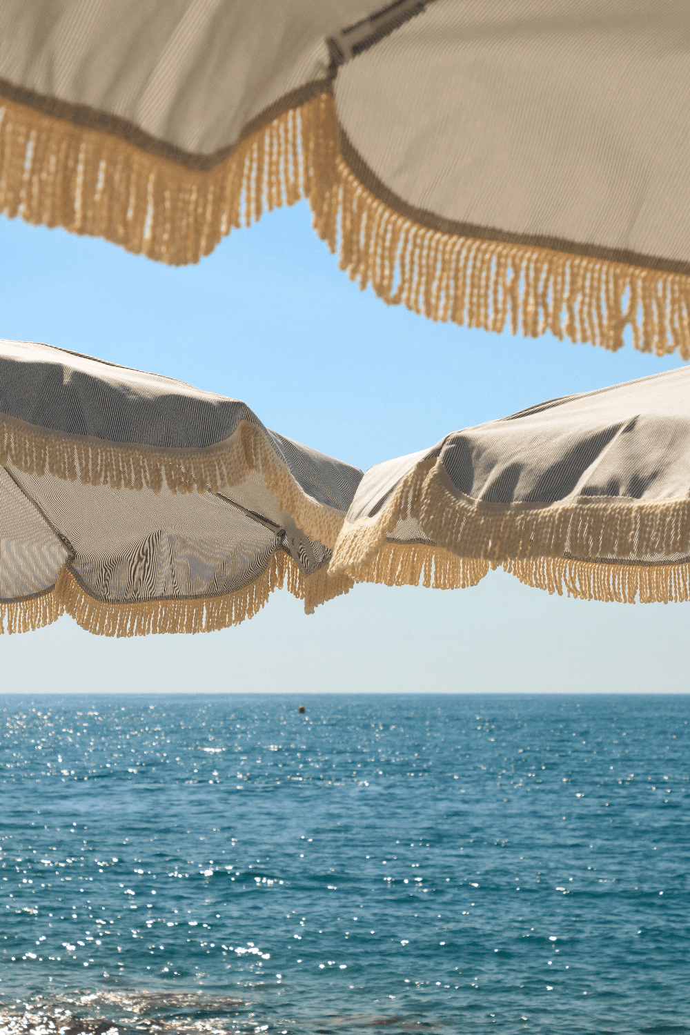 Les Canailles - Photo 5