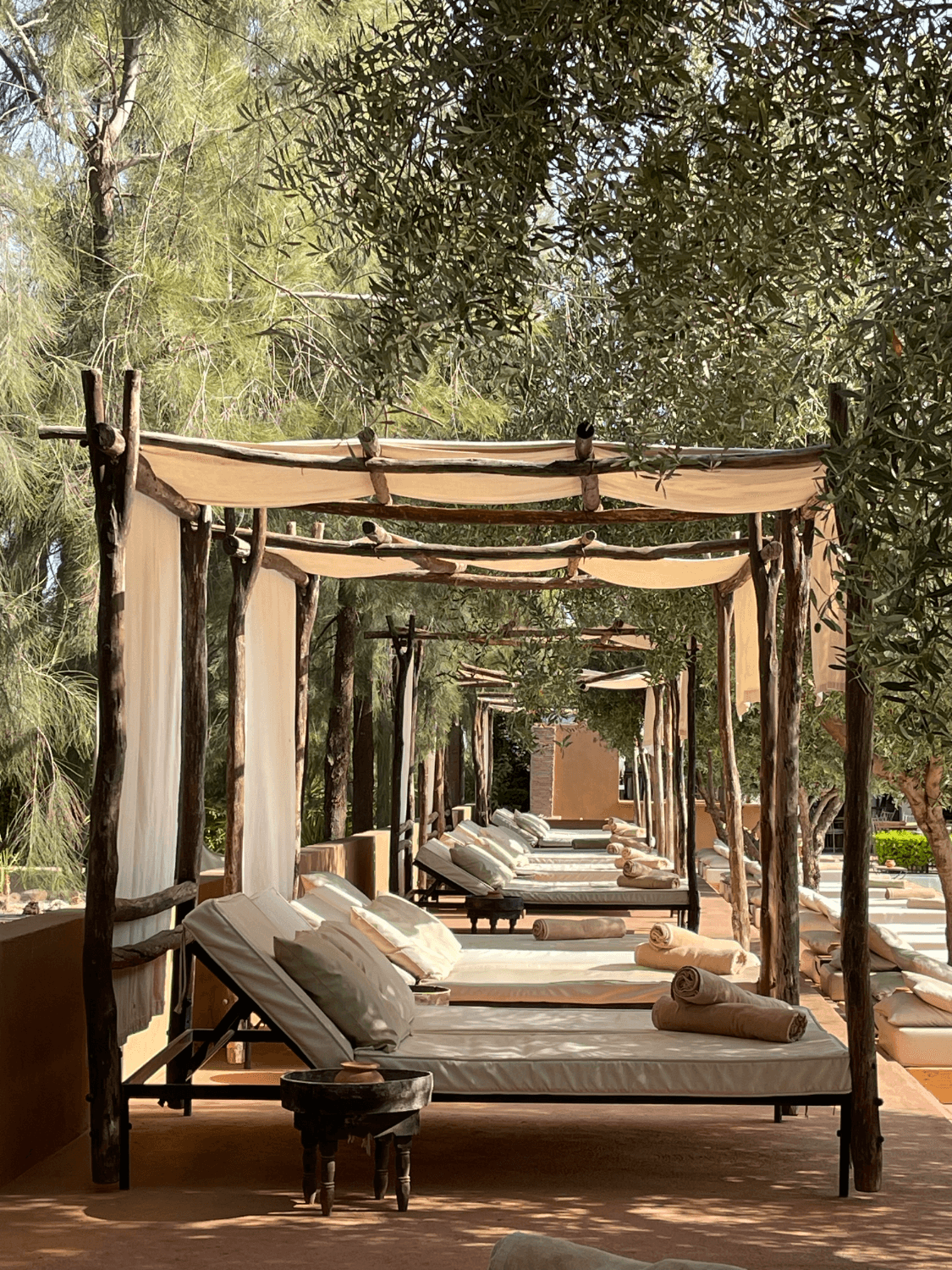 Manzil La Tortue - Photo 5