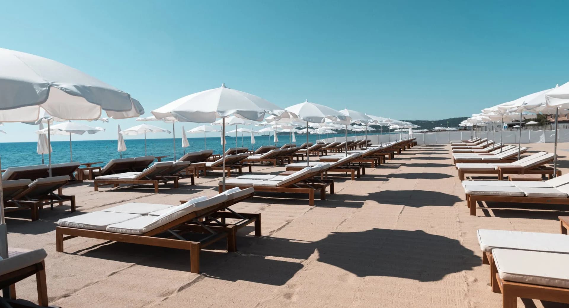 Les Palmiers - Photo 4