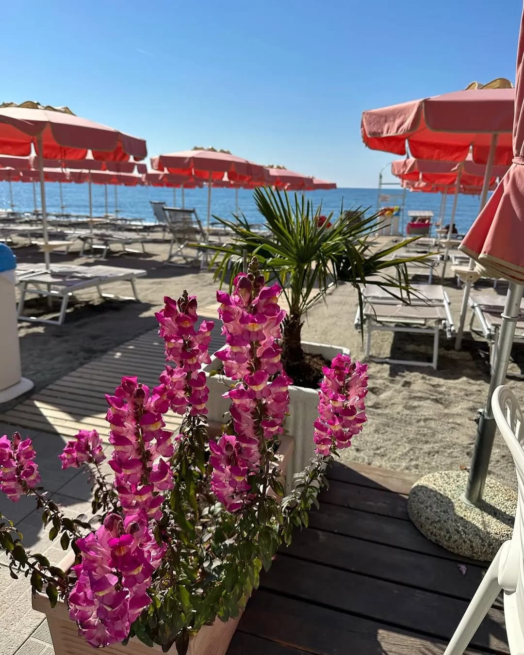 Photo Bagni Colombo Spiaggia e Ristorante