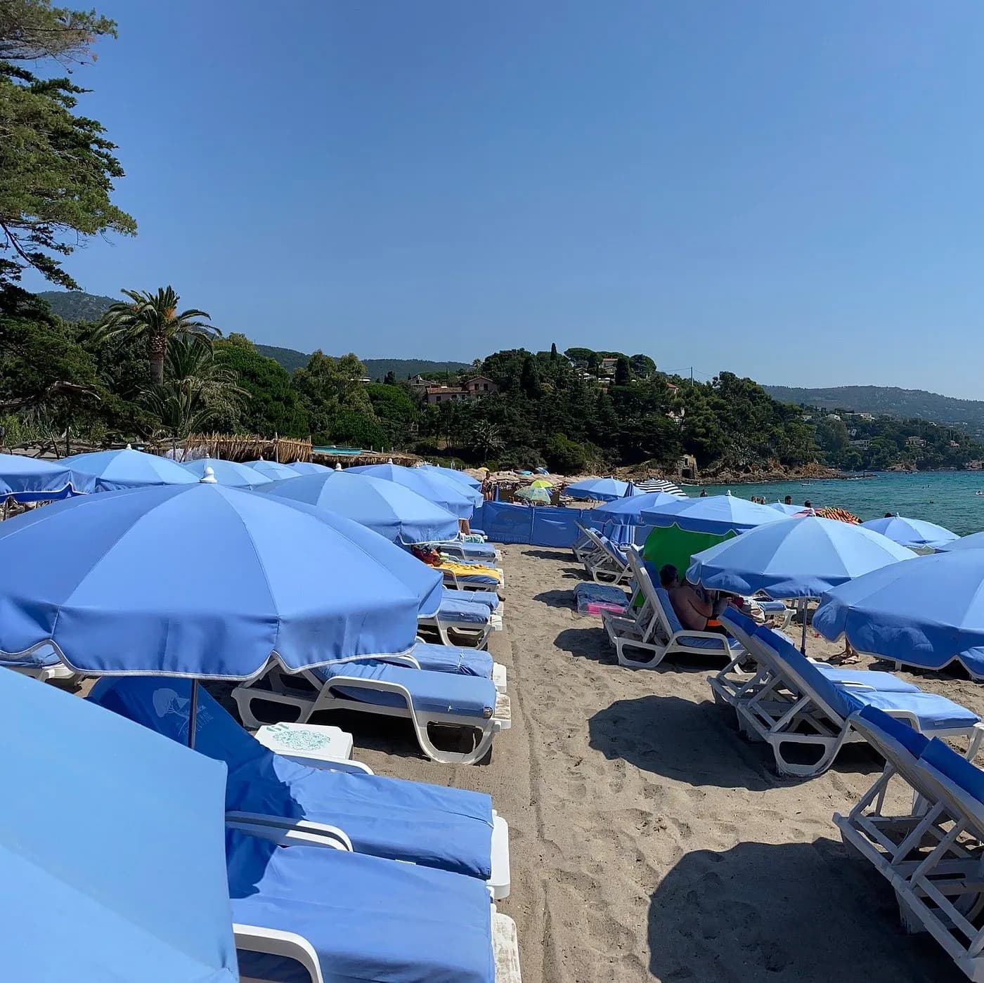 Photo Le Café de la Plage Lavandou