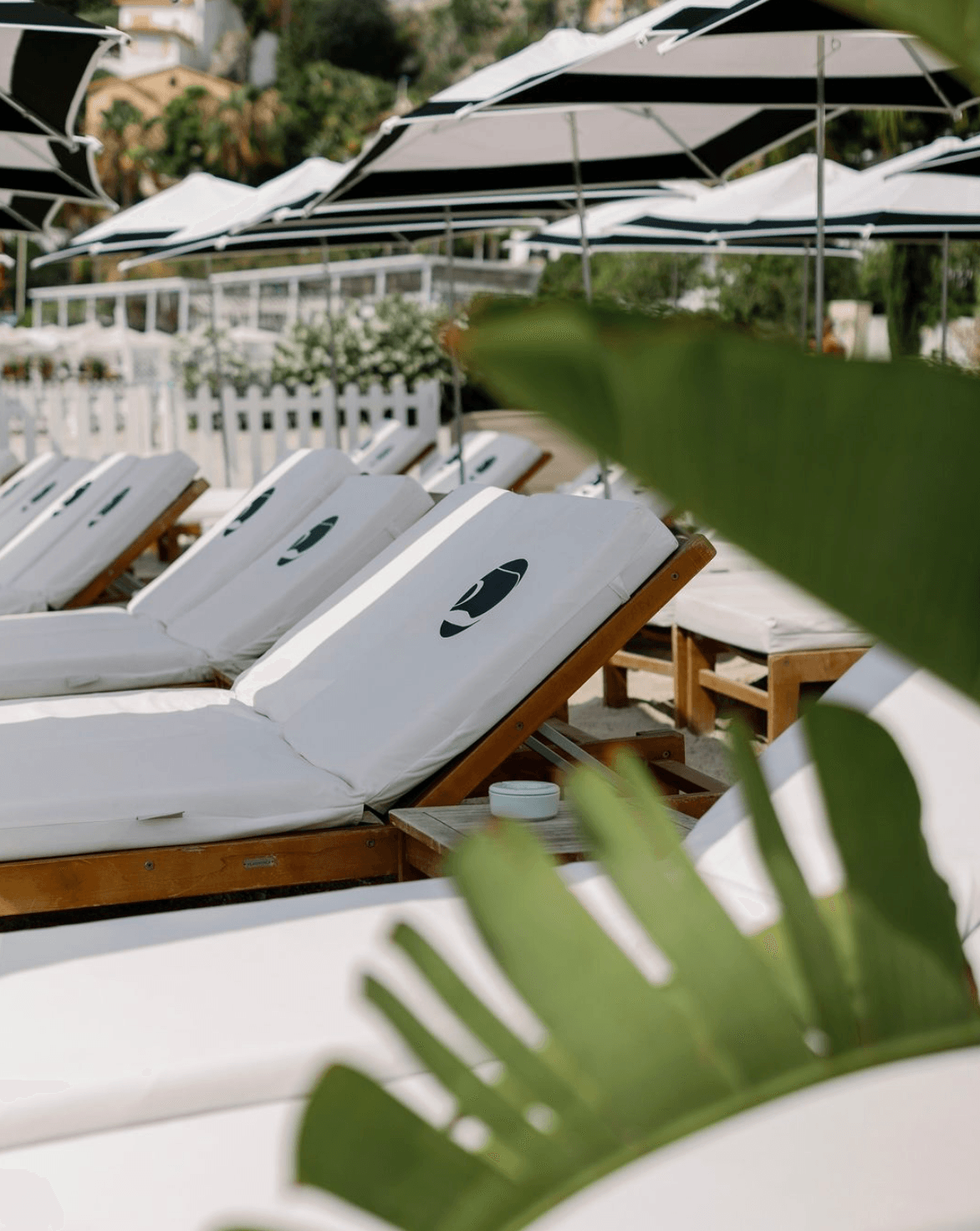 Uvita Plage - Photo 3