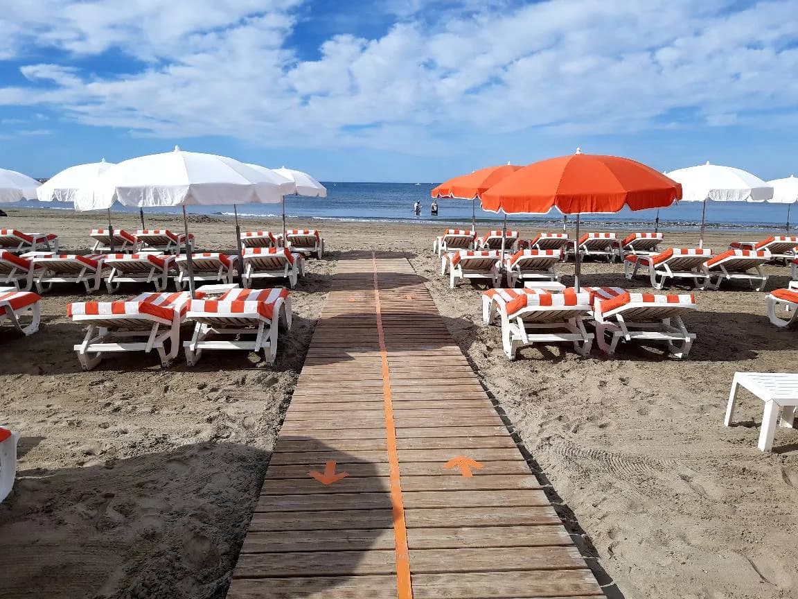 L'Orangine - Photo 5