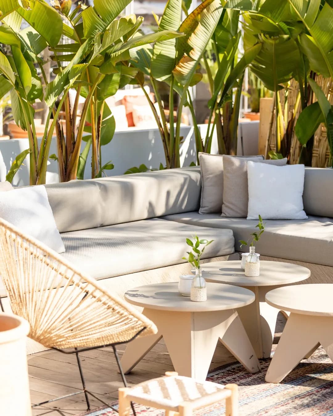 La Note Bleue - Photo 3