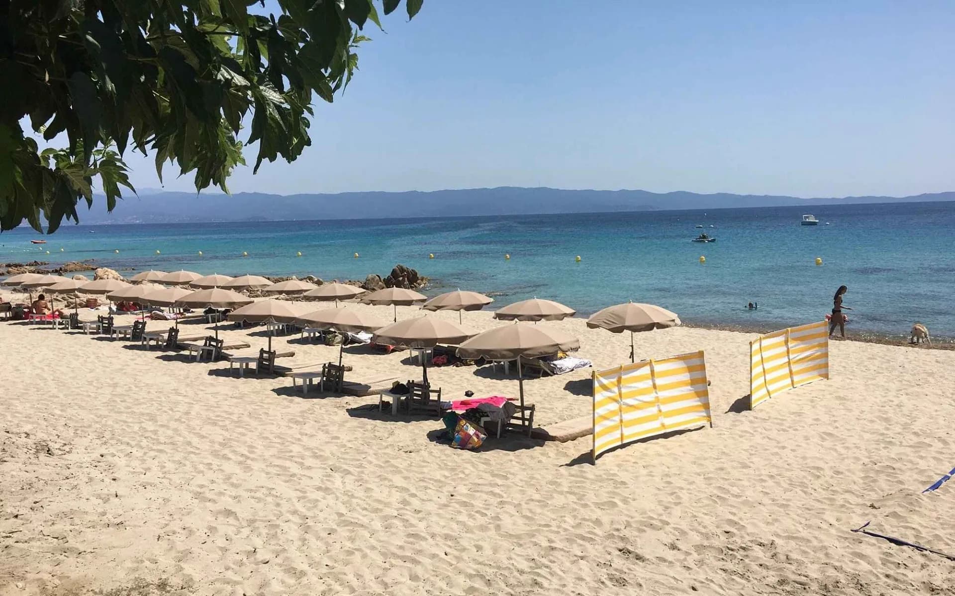 Le Goéland By Dolce Vita