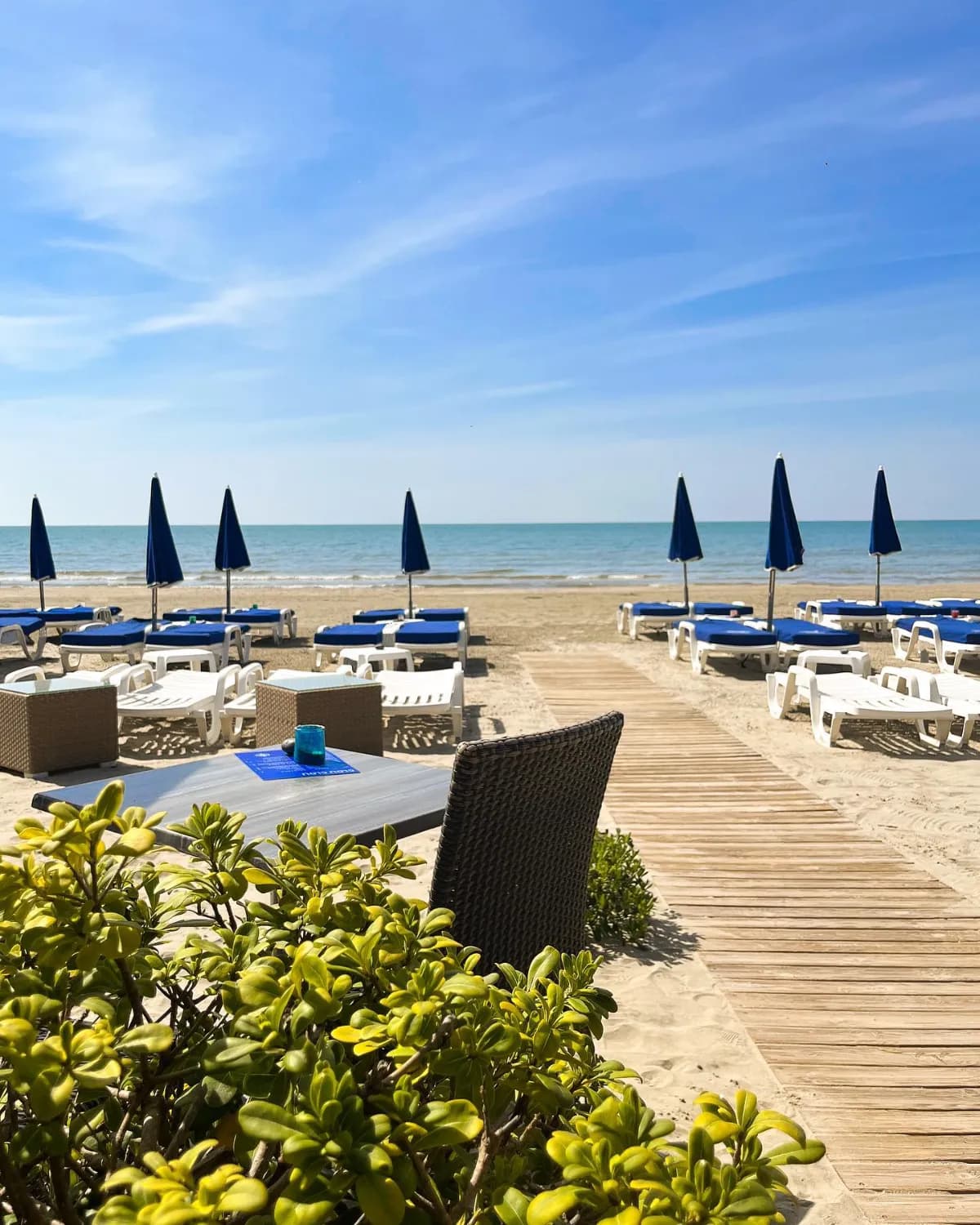 La Rose des Vents - Photo 5