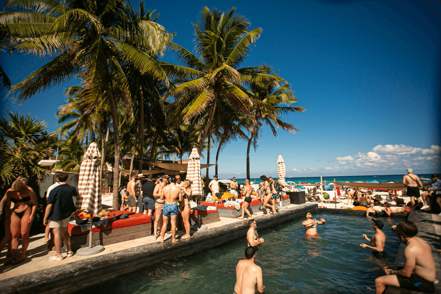 Coralina Daylight Club - Photo 2