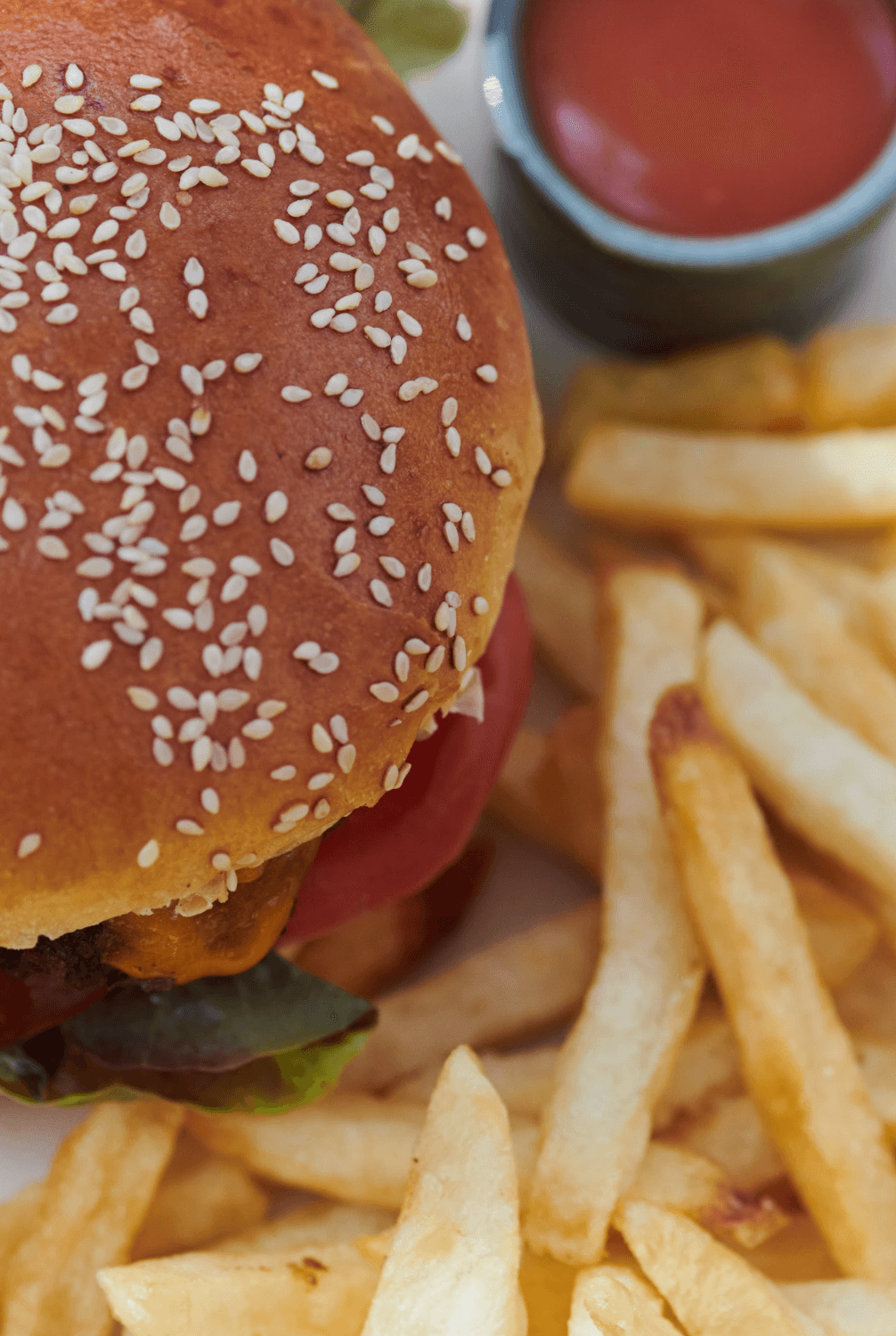 Manzil La Tortue - Photo 3