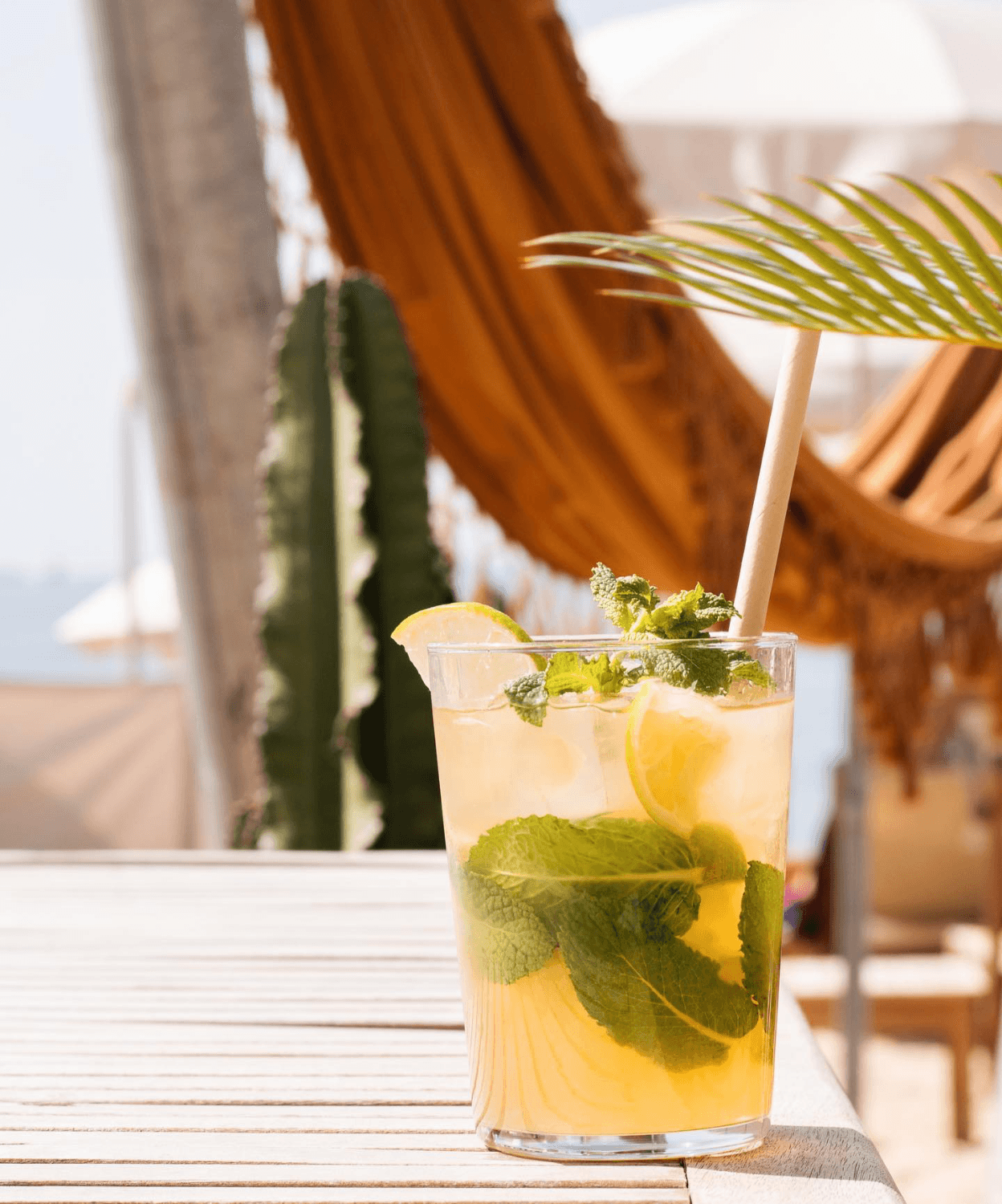 Hydra Beach - Photo 4