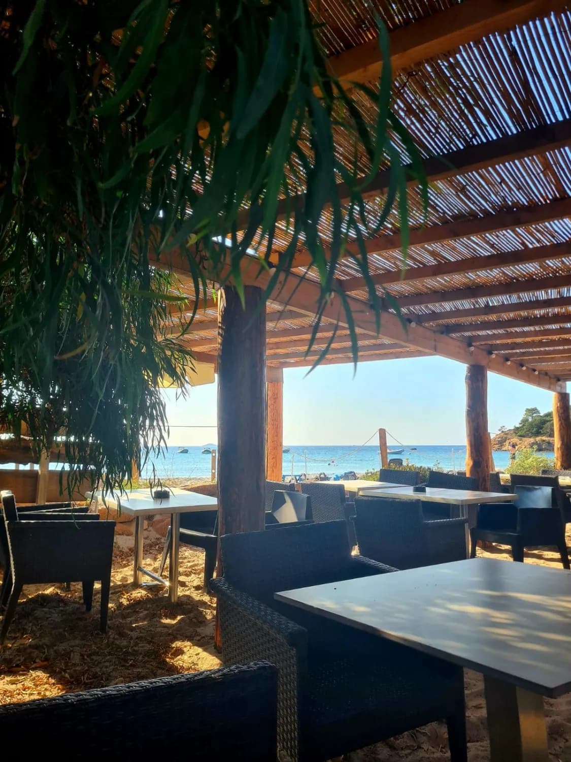 Cala d'Asciaghju - Photo 4