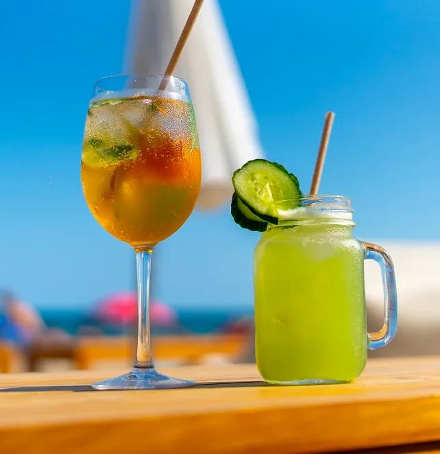 La Canopée - Photo 4