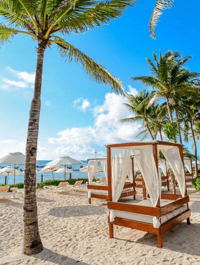 The Reef Coco Beach Resort & SPA - Photo 5