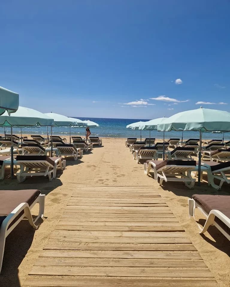 Photo Filao Plage