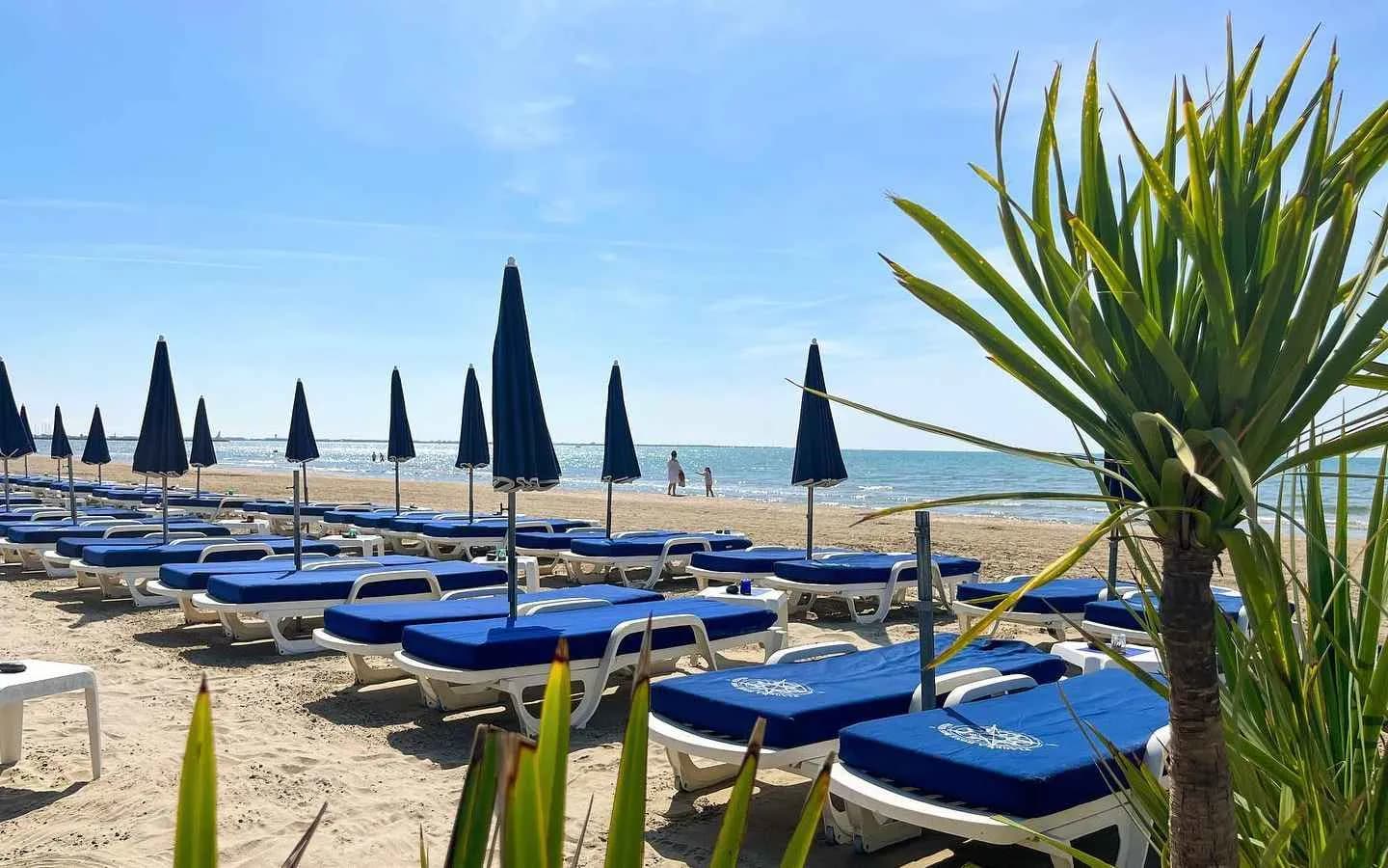 La Rose des Vents - 1