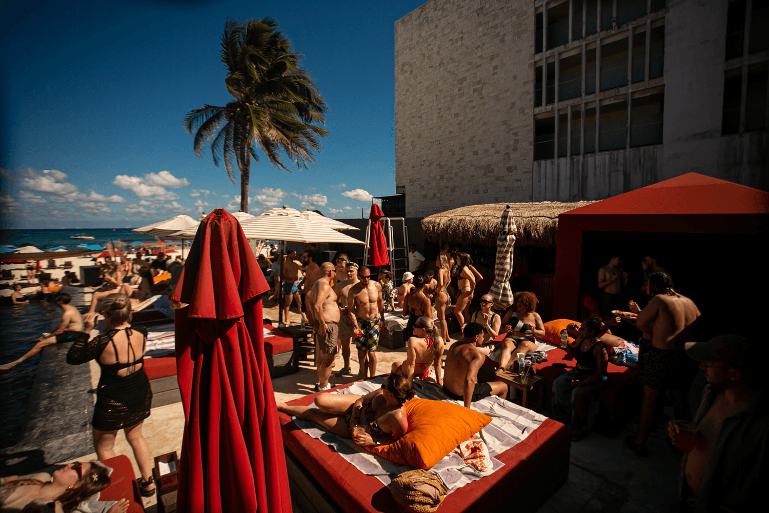 Coralina Daylight Club - Photo 5