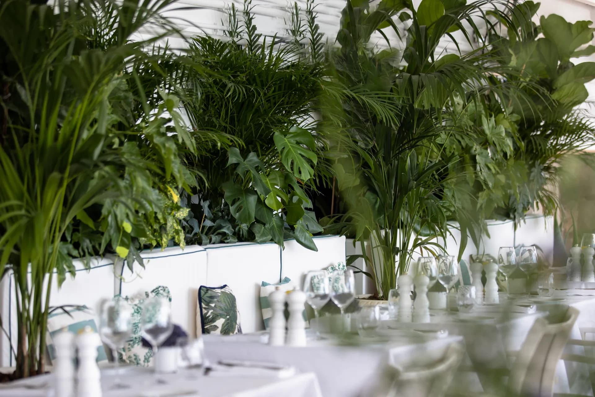 La Plage du Negresco - Photo 4