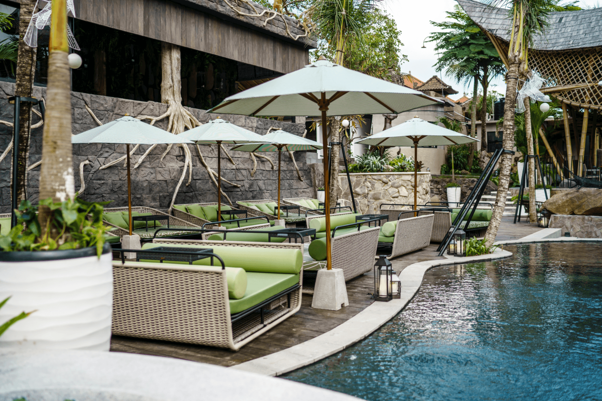 The Jungle Club - Photo 3