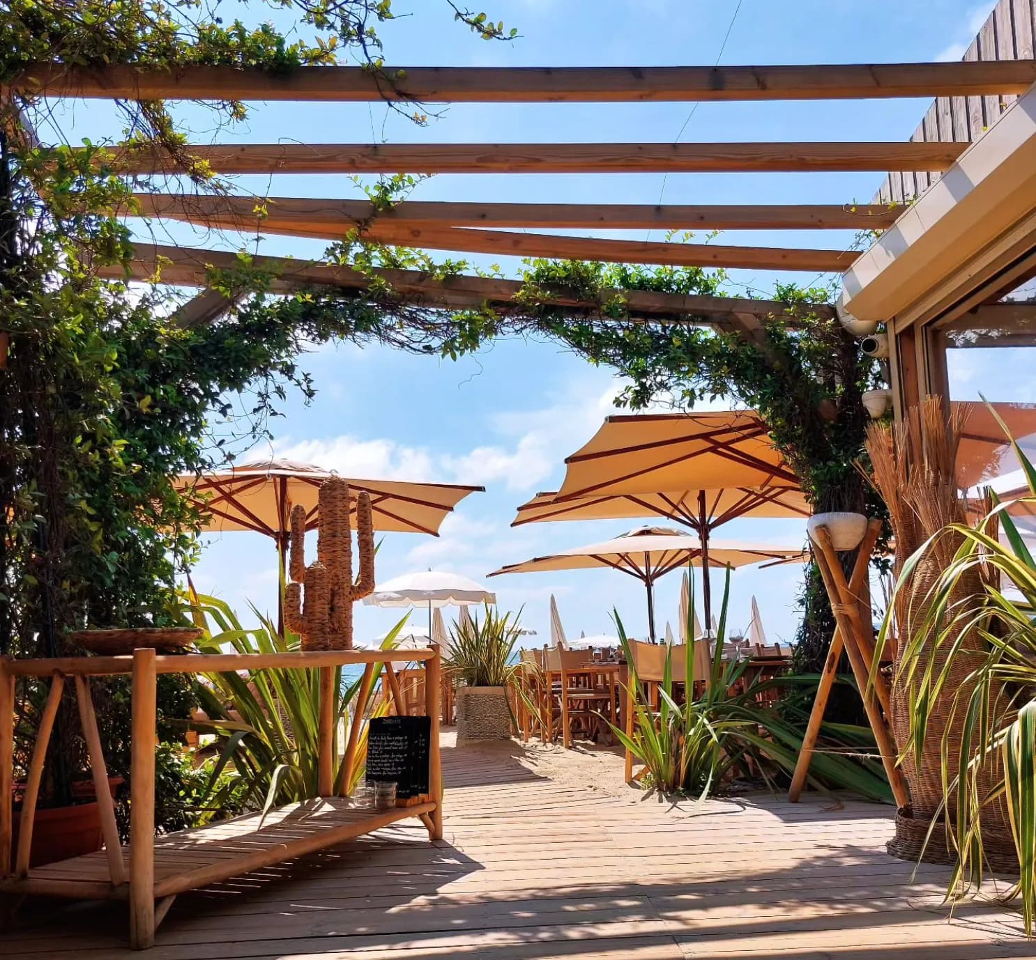 Bar du Soleil - Photo 2