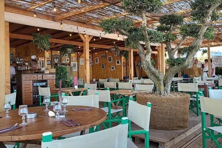 Le Bain de Soleil - Photo 4