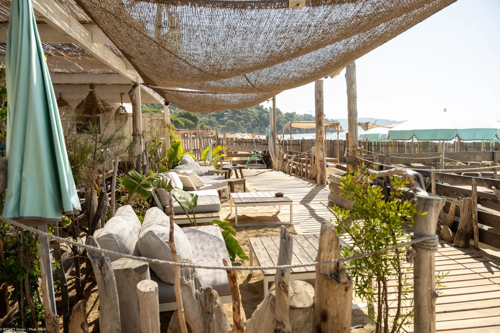 Photo Filao Plage