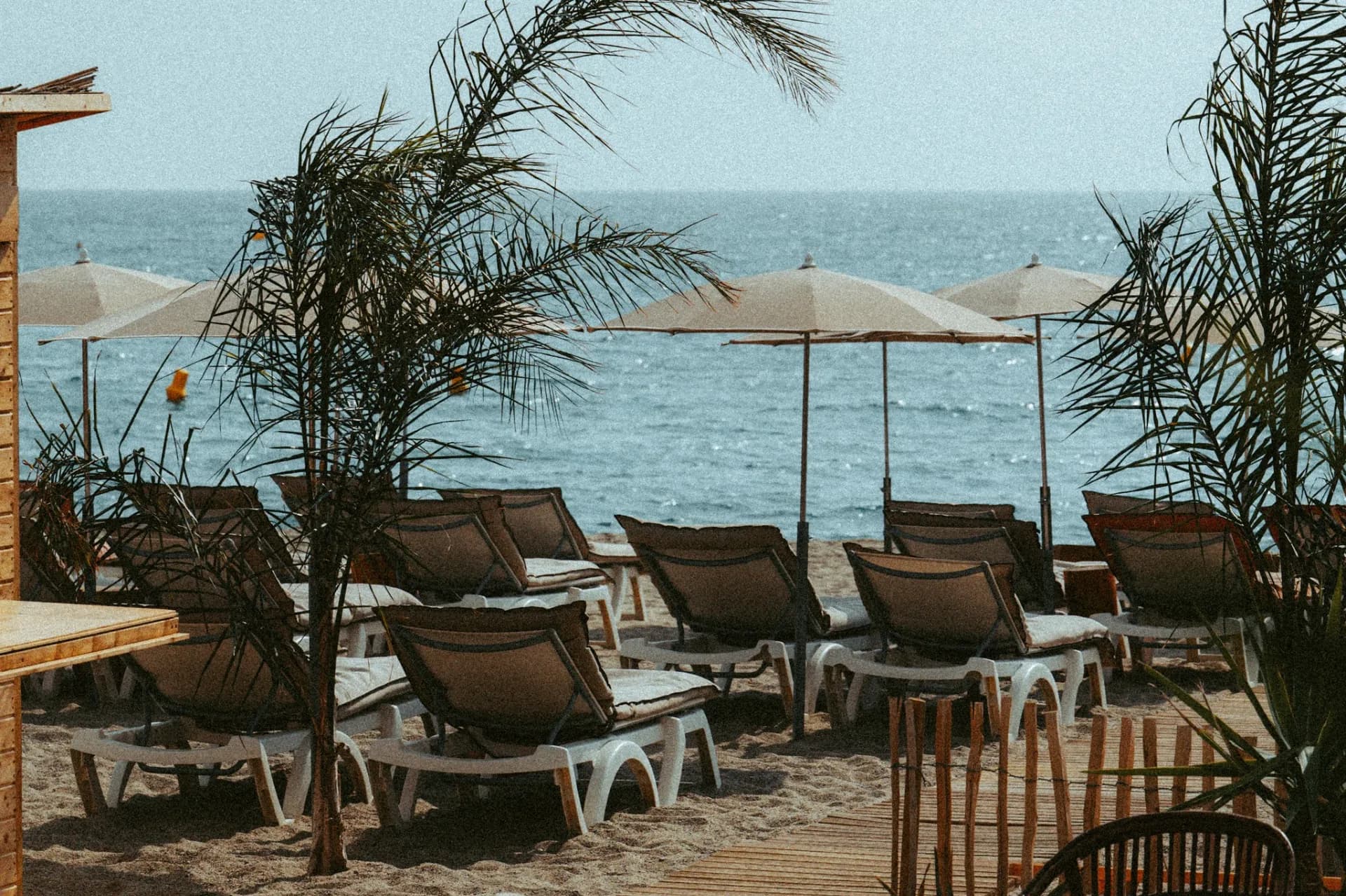 Photo Amourette Plage
