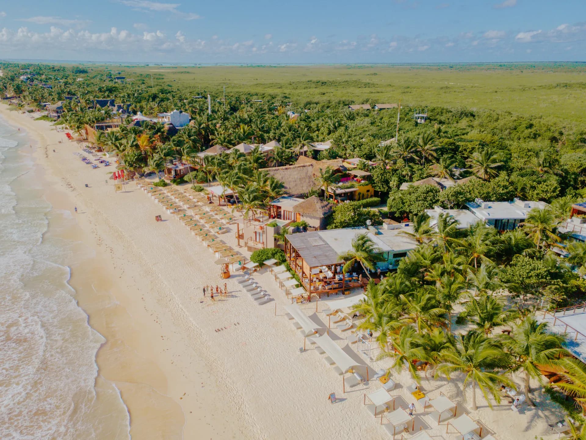 La Zebra Beach Club - 1